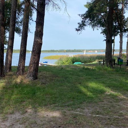 Apartament Wiewiorka Radzyń 外观 照片
