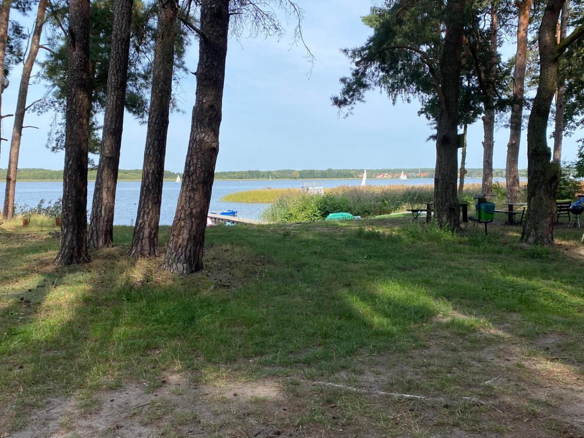 Apartament Wiewiorka Radzyń 外观 照片