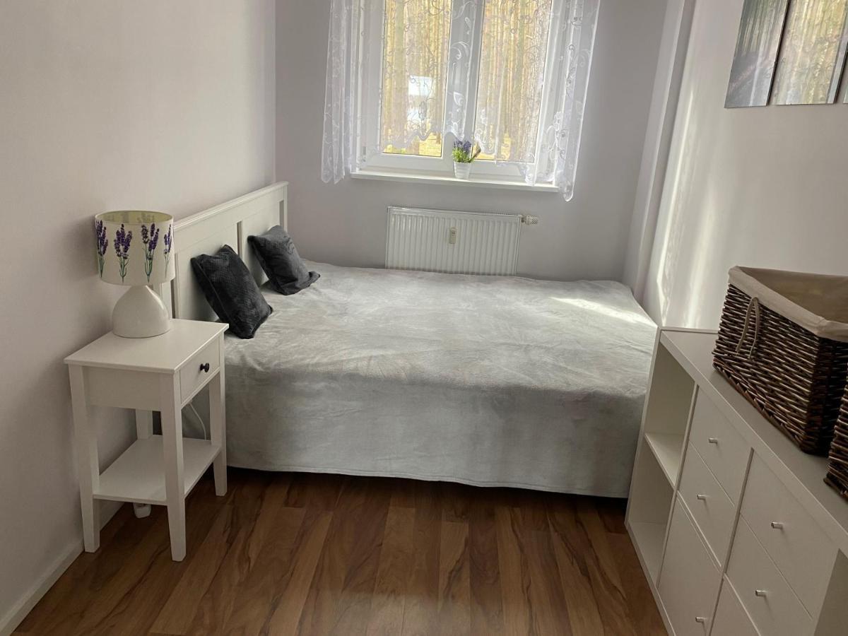 Apartament Wiewiorka Radzyń 外观 照片